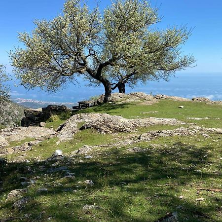 Casa Ohana Ceriale Open Space 4 Persone Dış mekan fotoğraf