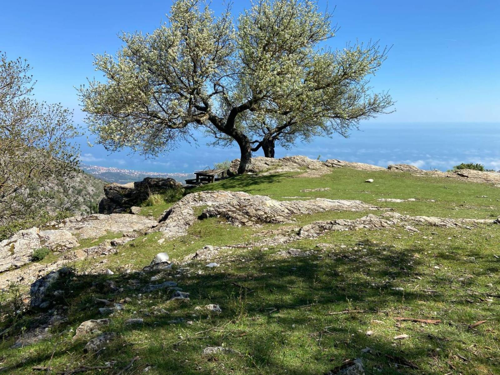 Casa Ohana Ceriale Open Space 4 Persone Dış mekan fotoğraf