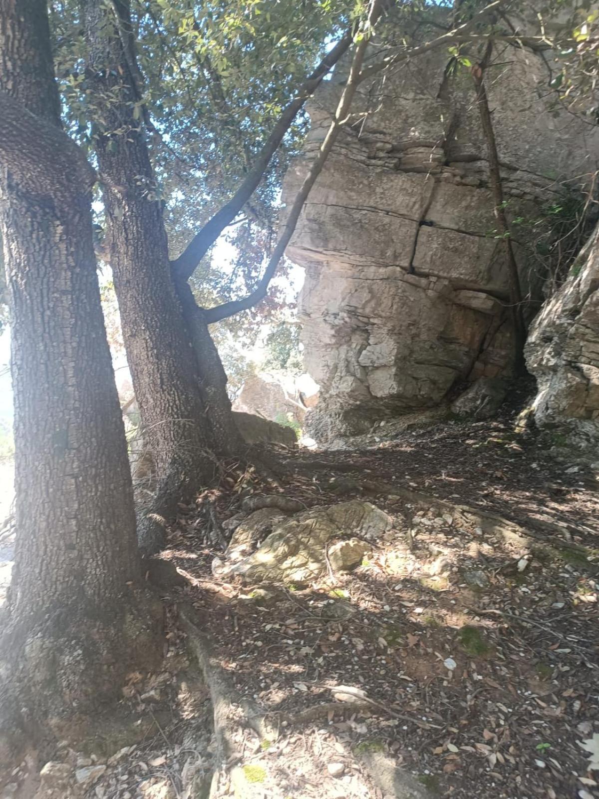 Casa Ohana Ceriale Open Space 4 Persone Dış mekan fotoğraf
